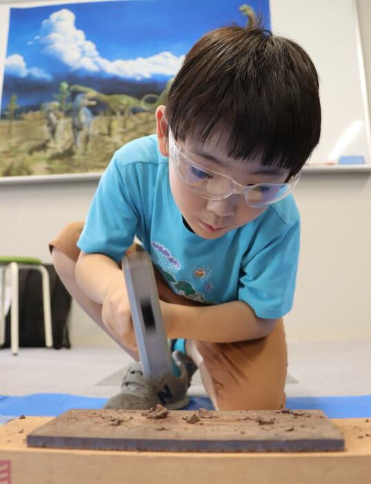 篠山層群で採取された石をハンマーで割り、化石を探す子ども＝2024年8月17日午後2時27分、兵庫県丹波市青垣町山垣で