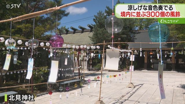 STVニュース北海道