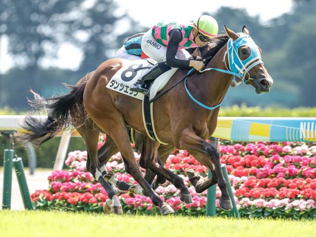 新馬戦を制したダンツエラン(撮影：下野雄規)