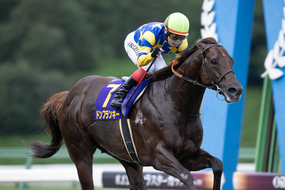 クラスターカップ・ドンフランキーと池添謙一騎手 (C)岩手県競馬組合