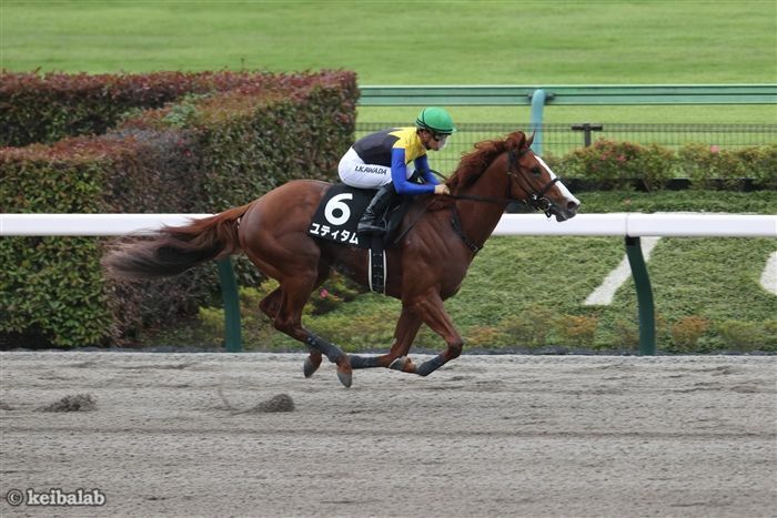 2走前のオアシスSを快勝したユティタム