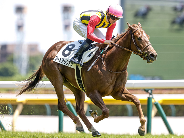 新馬戦を圧勝したコートアリシアン(撮影：下野雄規)