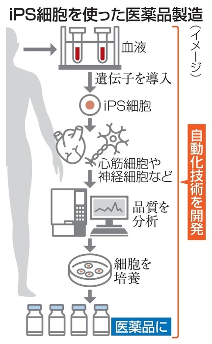 iPS細胞を使った医薬品製造（イメージ）