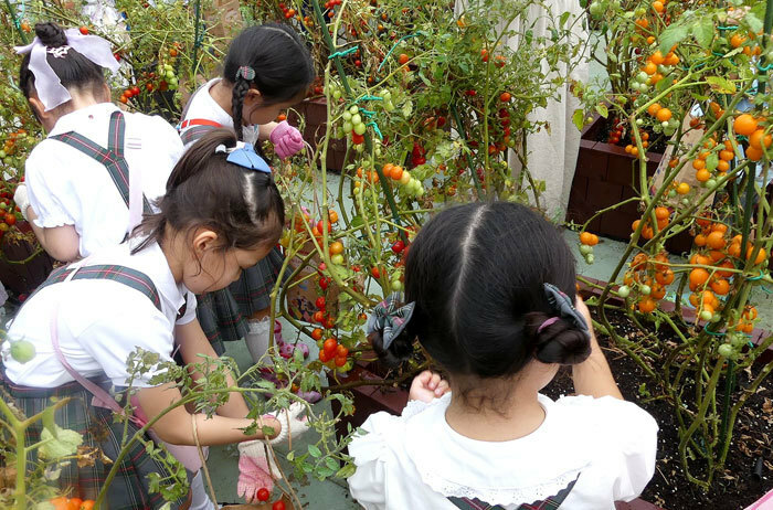 百貨店の次世代顧客獲得や親子でのリピート来店のきっかけづくり、子どもへ食育貢献が目的