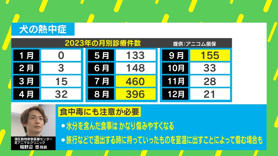 犬の熱中症 2023年の月別診療件数（提供：アニコム損保）