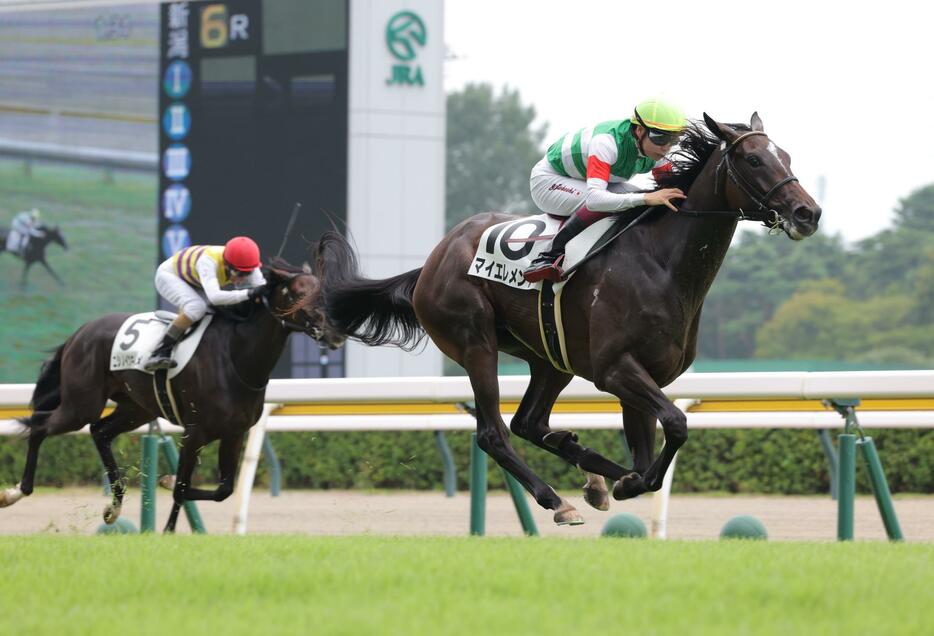 　６Ｒ新馬戦を制したマイエレメント（右）＝撮影・西岡正