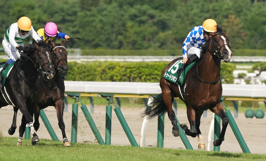 関屋記念・トゥードジボンと松山弘平騎手 (C)スポニチ