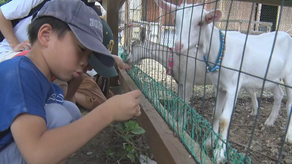 動物との触れ合い体験