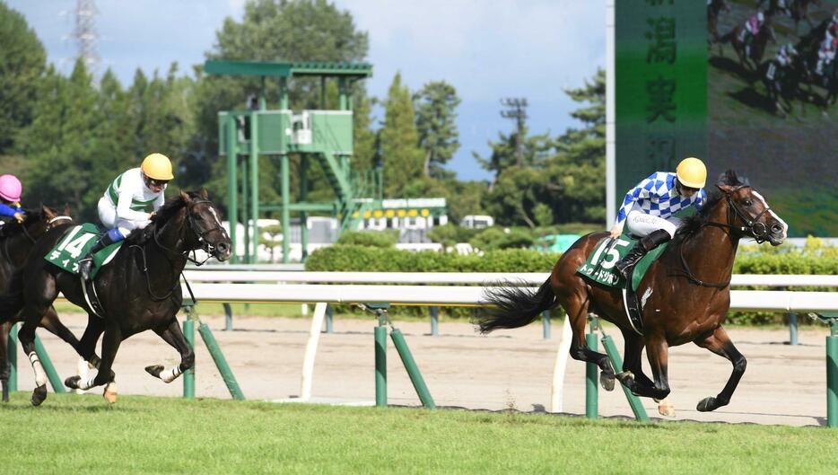 　悠々と押し切ったトゥードジボン（撮影・佐々木彰尚）