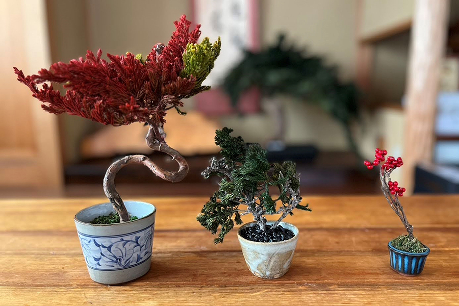 「DRY BONSAI」 ドライ盆栽ギフトボックス3万5001円～