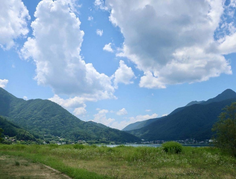 夏の河口湖