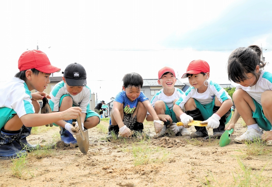 芝植えに取り組む児童たち＝7月、福井県大野市の有終南小学校