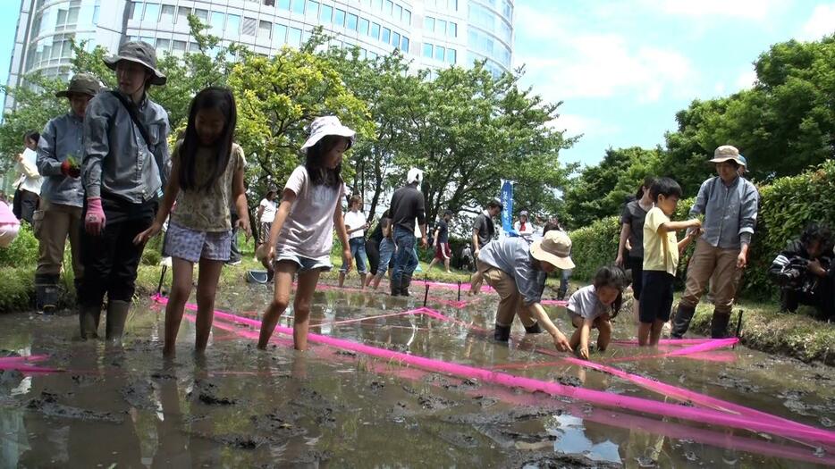 ヒルズの街では人を惹きつけるさまざまなイベントが開かれる