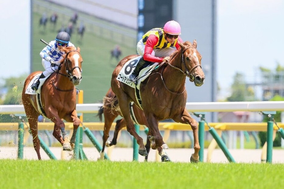 圧倒的な瞬発力を見せて完勝したコートアリシアン