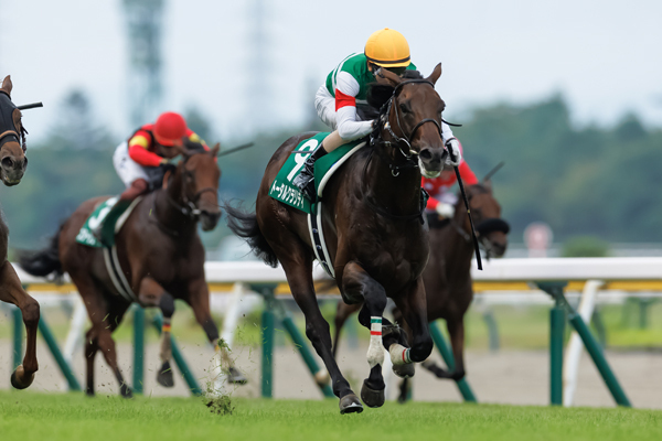 新潟2歳Sを制したトータルクラリティ