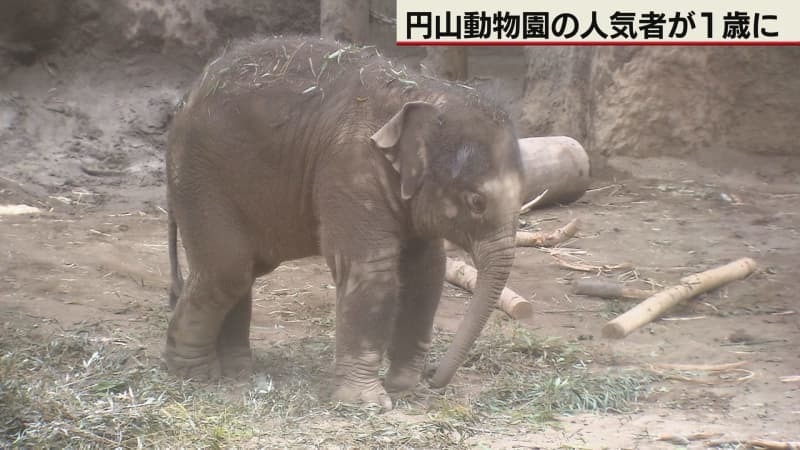 （写真：テレビ北海道）