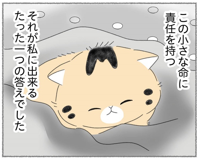 漫画「にゃんかつ」より