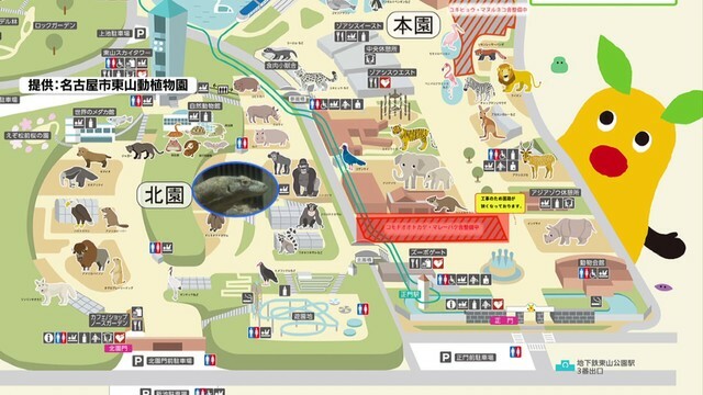 動物園の一等地に新獣舎建設中