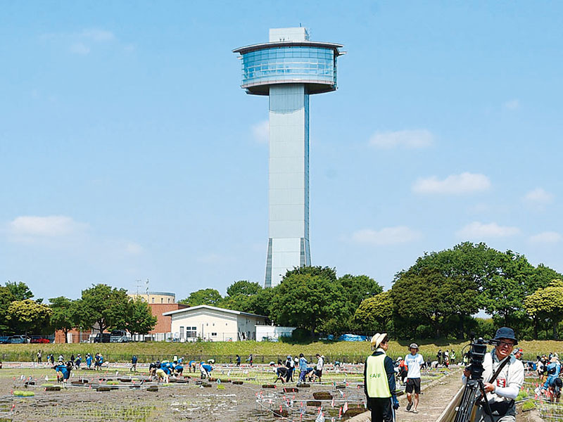 「行田タワー」と命名される古代蓮の里にある古代蓮会館の展望室＝行田市小針