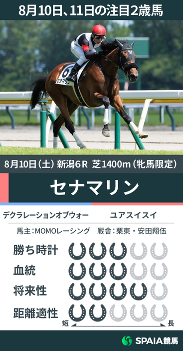 8月10日の新潟6R・新馬戦を勝利したセナマリン