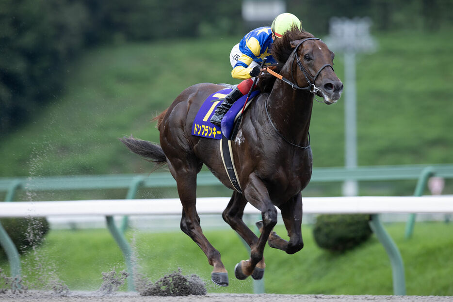 クラスターカップ・ドンフランキーと池添謙一騎手 (C)岩手県競馬組合