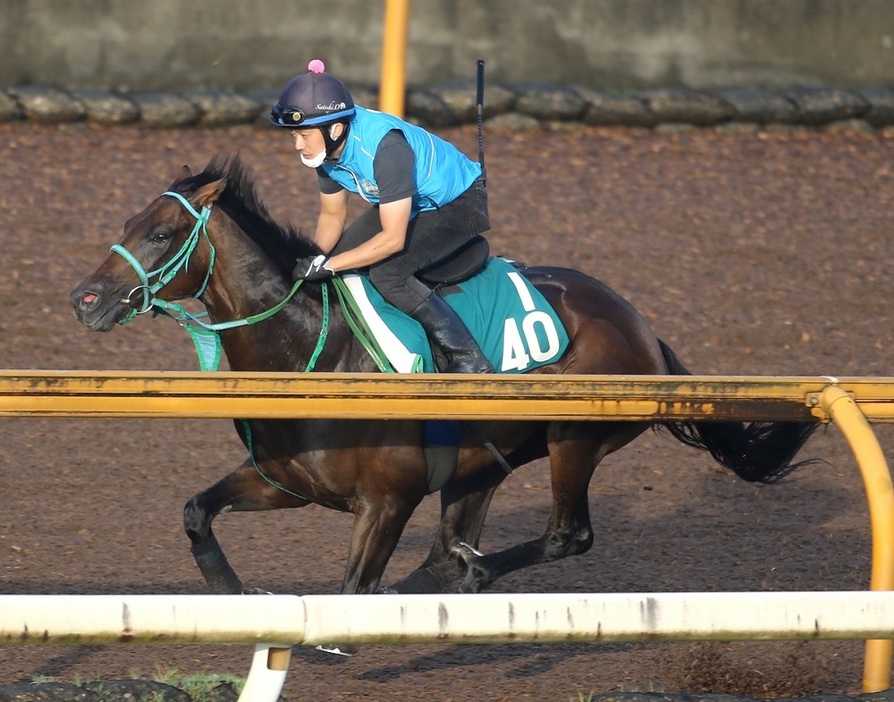 着差以上の内容があった初戦を正当に評価したいトータルクラリティ