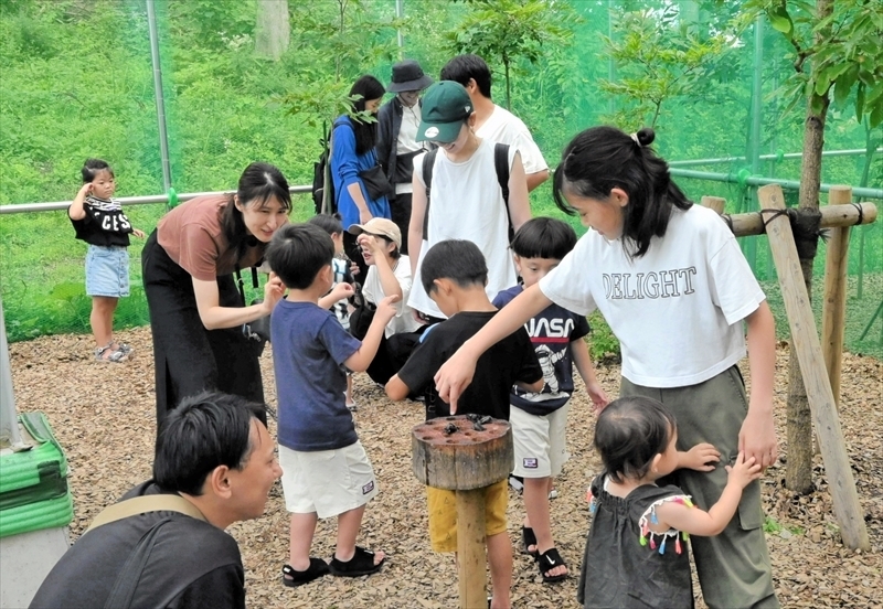 大勢の家族連れらでにぎわうカブトムシドーム