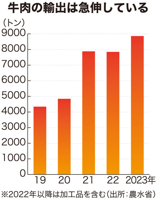 急激に伸びている牛肉輸出