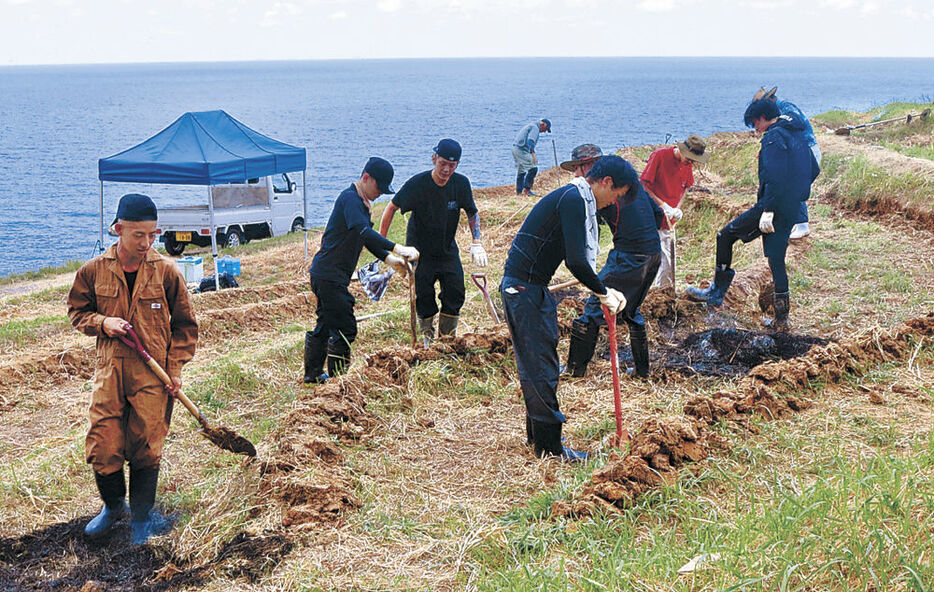 白米千枚田の修復を手伝う愛知県の若者＝輪島市白米町