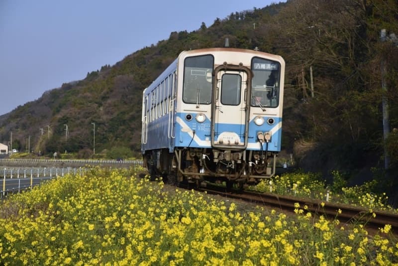 ＪＲ予讃線を走るディーゼル車両＝愛媛県大洲市