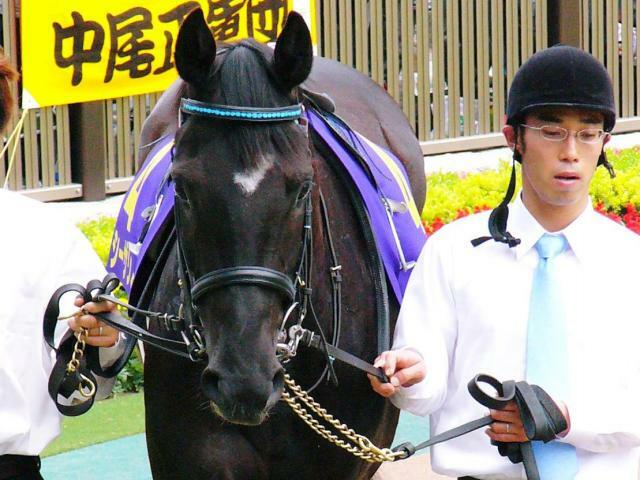 ヴィンセンシオの祖母のシーザリオ(05年5月撮影、ユーザー提供：まちかねどんさん)