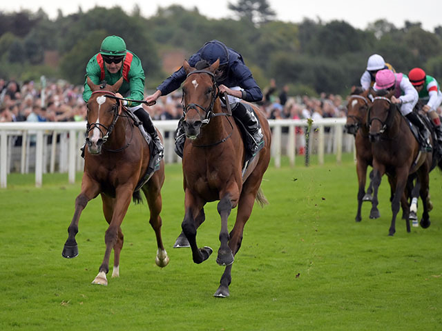 G1・3連勝で英インターナショナルSを制したシティオブトロイ(C)Racingfotos.com