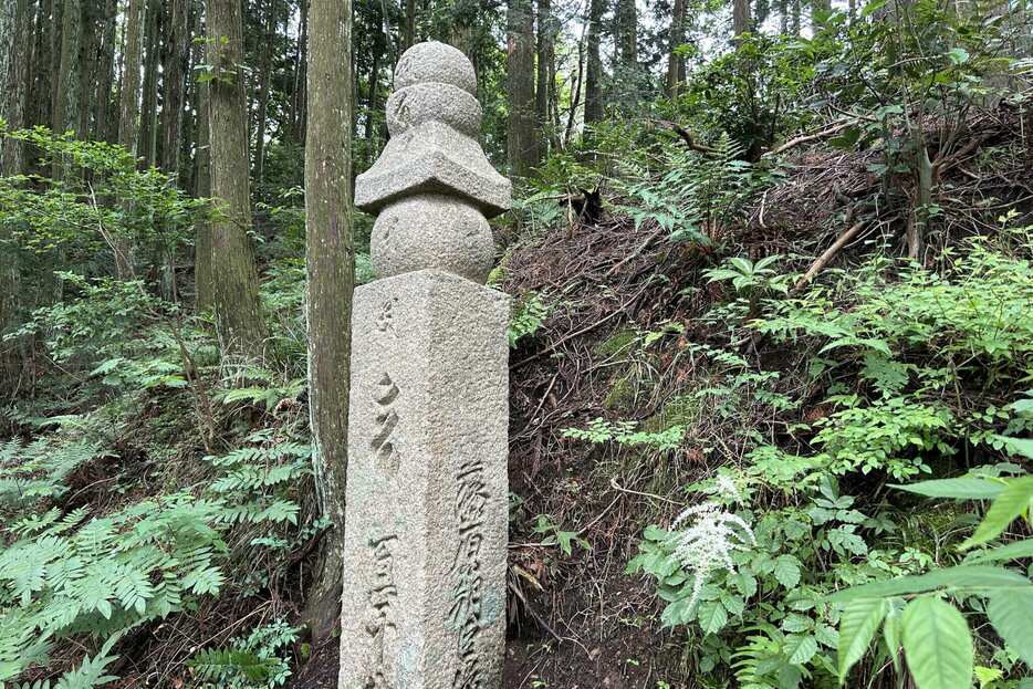 弘法大師がこの道沿いに建てた卒塔婆（そとうば）に由来する町石