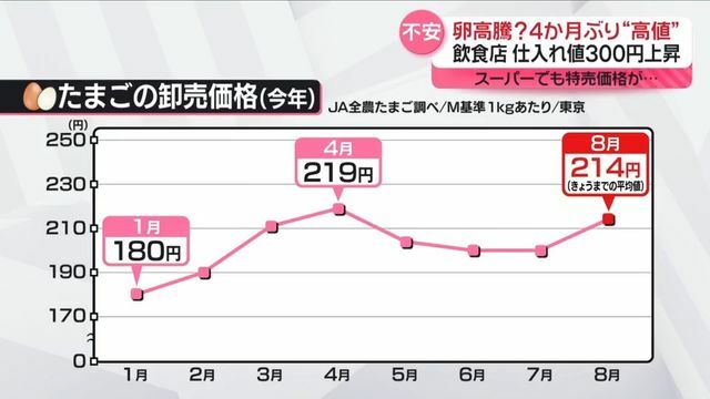 日テレNEWS NNN