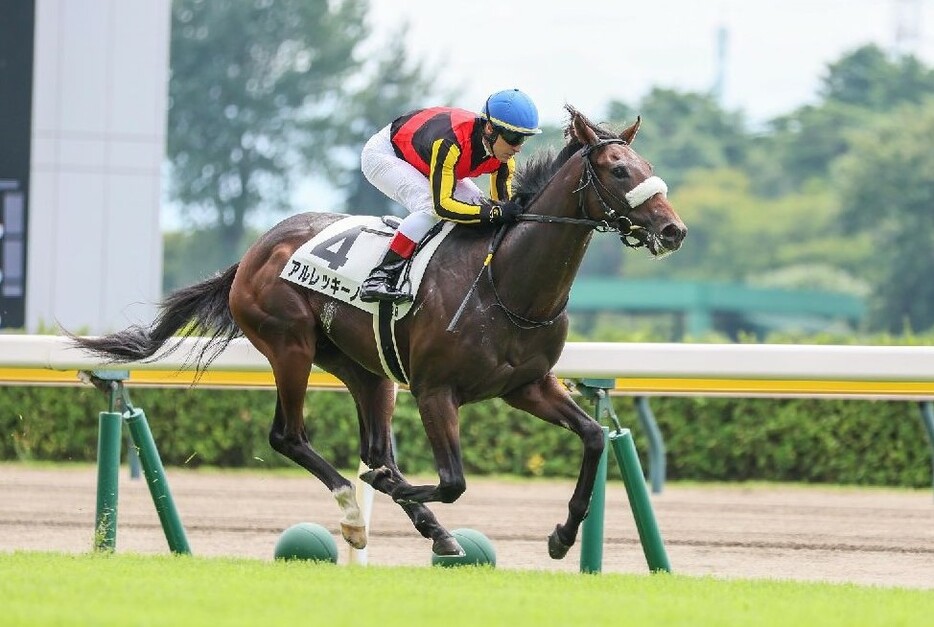 ノーステッキで2着に7馬身の差を付けたアルレッキーノ