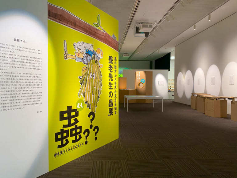 蟲展入り口（写真：養老研究所）