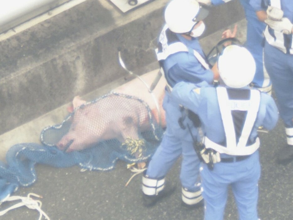 愛知県豊明市の伊勢湾岸道下り