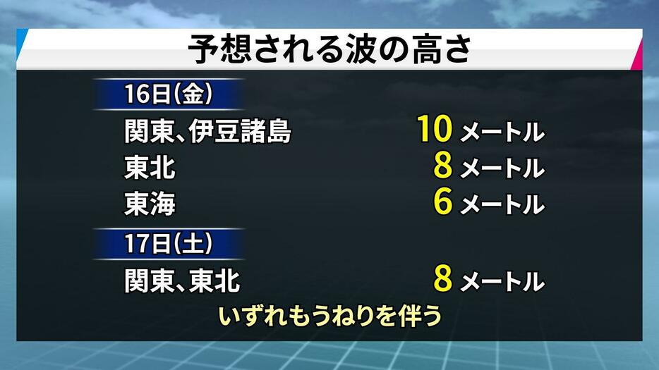 予想される波の高さ