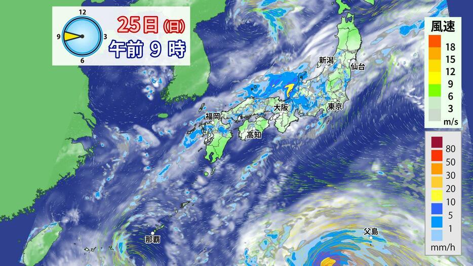 25日(日)午前9時の雨雲予想