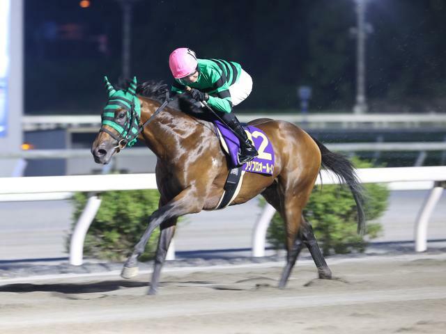 黒潮菊花賞を制したプリフロオールイン(提供：高知県競馬組合)