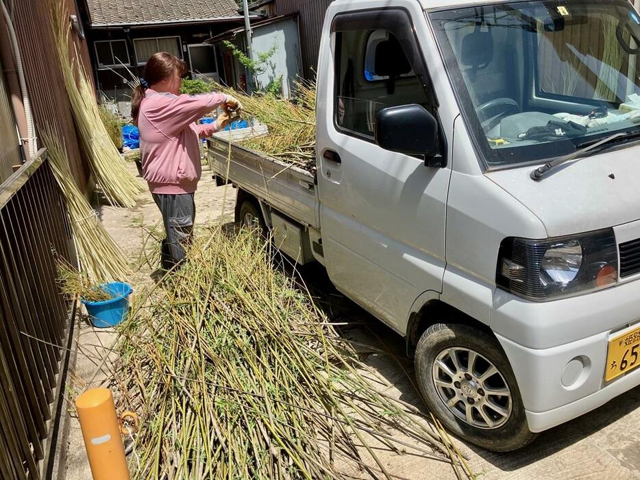 軽トラックからアシのような植物を降ろす女性の姿が…