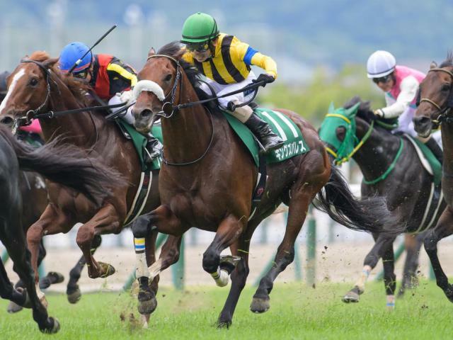 悲願の重賞初制覇を目指すキングズパレス(今年7月撮影、ユーザー提供：りりさん)