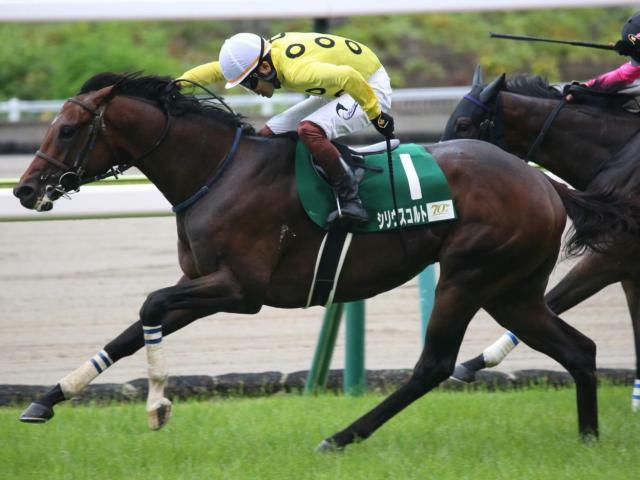 重賞初制覇を目指すシリウスコルト(今年6月撮影、ユーザー提供：TKさん)