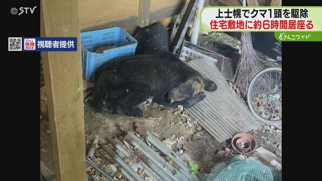 住宅敷地内に居座るクマ