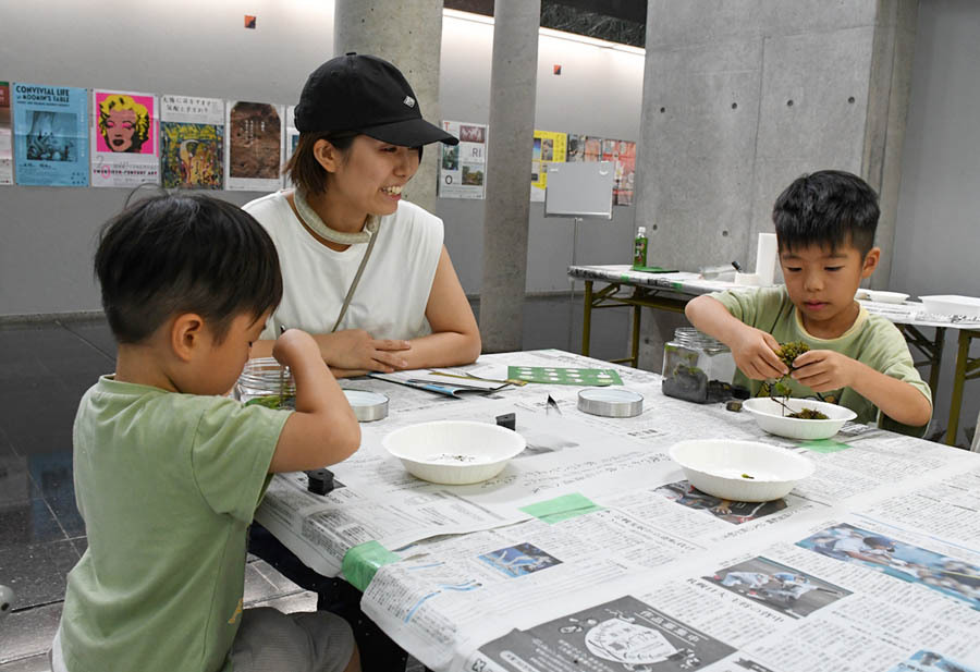 コケリウム作りに挑戦する親子