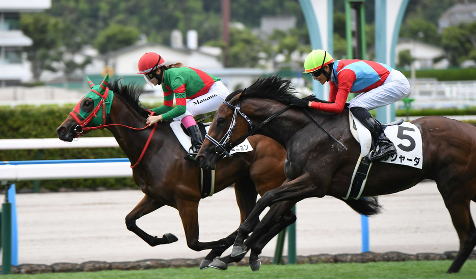 　永島まなみの手綱で新馬戦を制したスリールミニョン