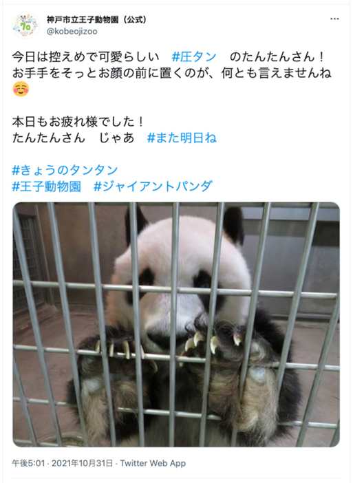 今日は控えめですね　神戸市立王子動物園公式ツイッターより