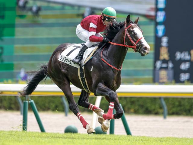 シンフォーエバーが新馬戦を制す(撮影：下野雄規)