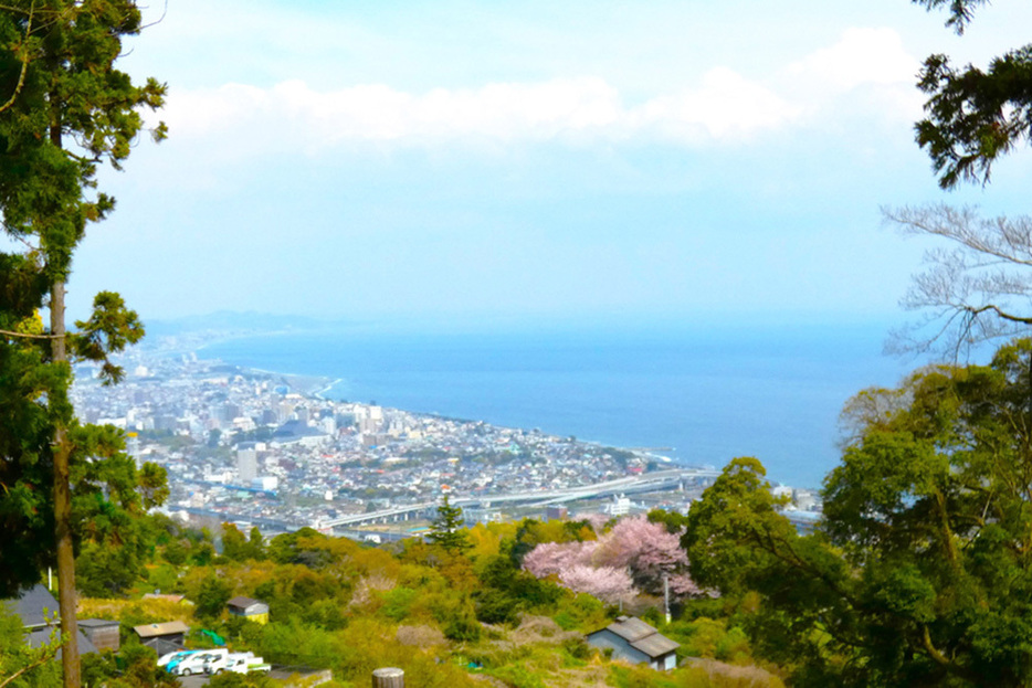 不動山の山頂から眺める相模湾