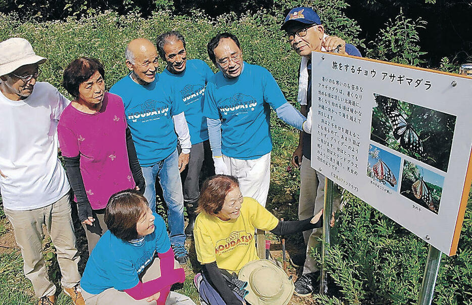 ファンクラブによって立てられたアサギマダラの看板=宝達志水町の宝達山